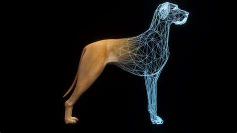 Create a 3D avatar NFT of your real pet .